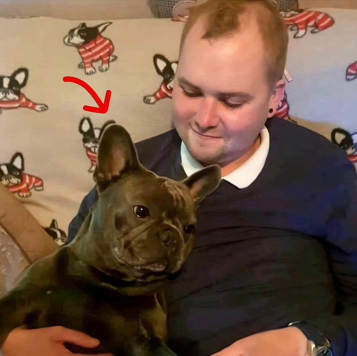 Morbid Knowledge tweet media