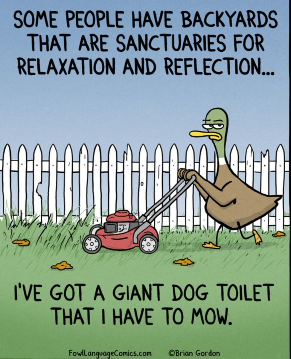 Some Guy🇺🇸 tweet media