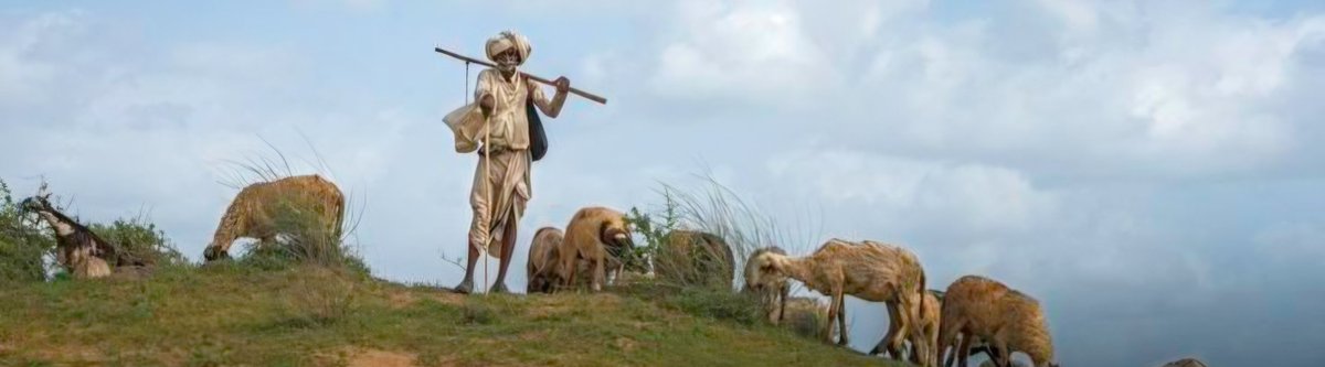 إبراهيم جبران tweet media