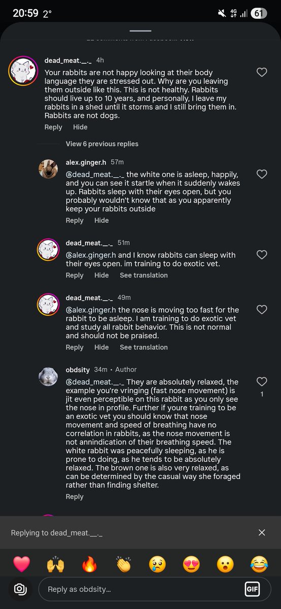 OBDsity | Bunnies in a Bun Dance tweet media