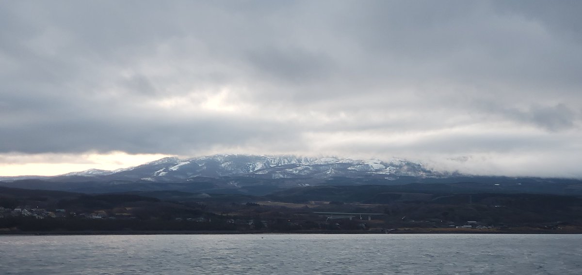 らべ💮 tweet media