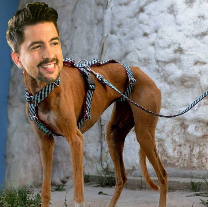 Javi Perriveira tweet media