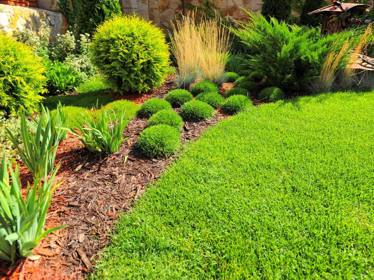 Divine Design Landscaping tweet media