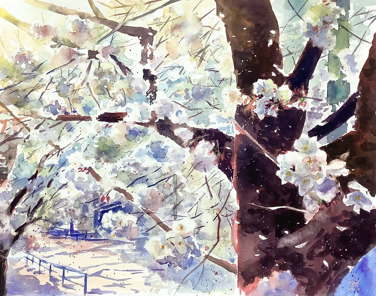 DiDi（土井大輔）watercolor tweet media