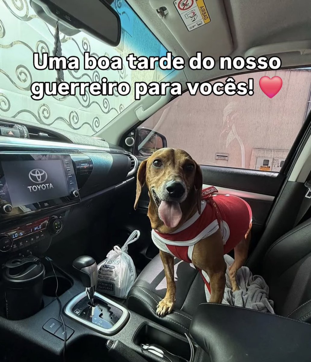 Calma só na bula tweet media