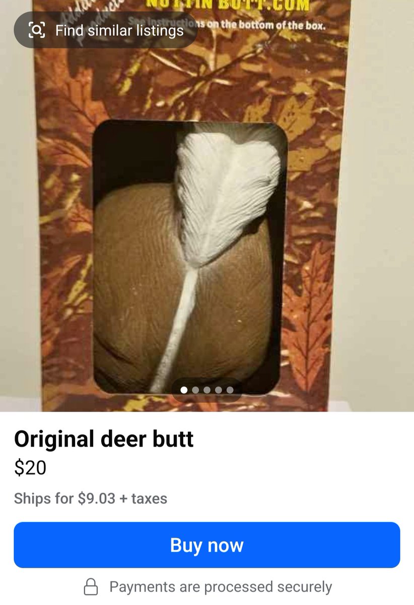 The Future Looks Bleat tweet media