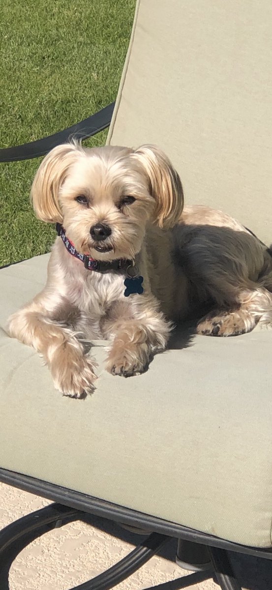 “Sooner Magic” tweet media