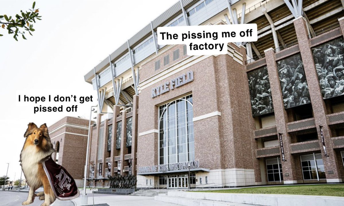 Shane Sdao Enjoyer 👍🏻 tweet media