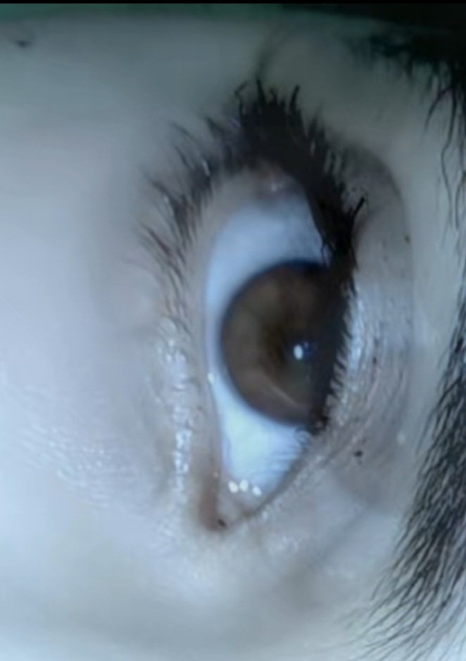 little miss noni tweet media