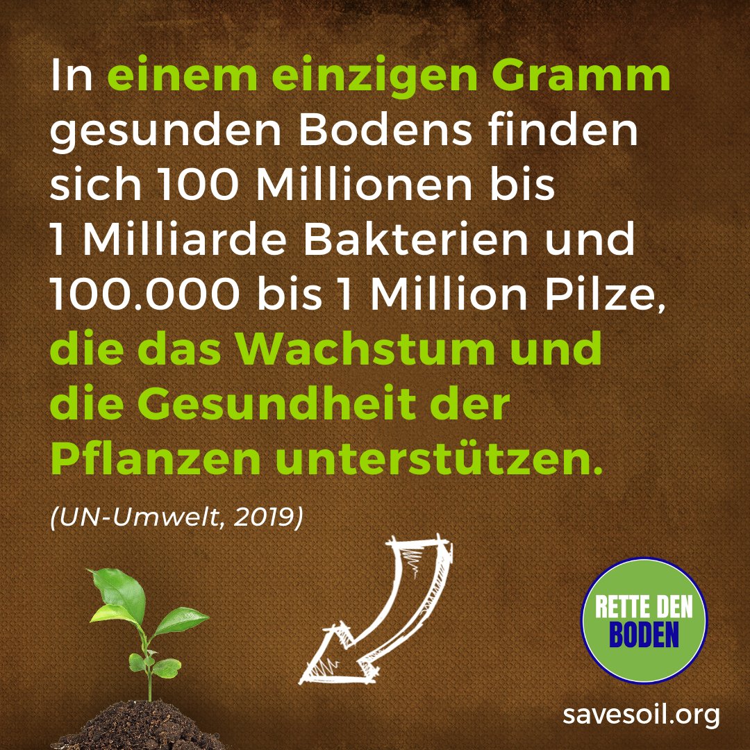 Rette_den_Boden's tweet image. @MSavesoil 
Genau, 95 Prozent der #LEBENsmittel, die wir essen, stammen aus dem Boden und in einem einzigen Gramm gesunden Bodens befinden sich bis zu 1 Milliarde Bakterien und bis zu 1 Million Pilze. Die Vielfalt dieses Lebens muss erhalten werden. #RetteDenBoden #Biodiversität