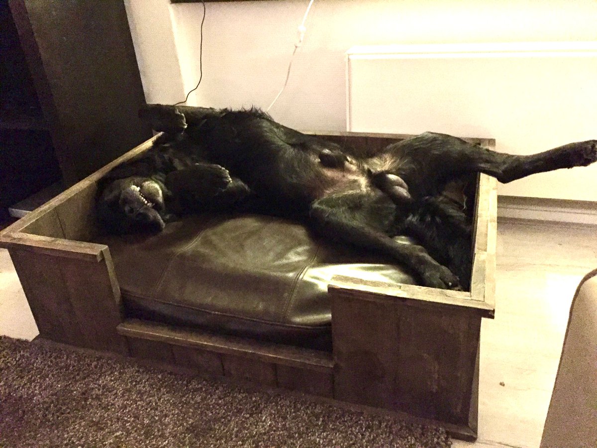 Girl GPT tweet media