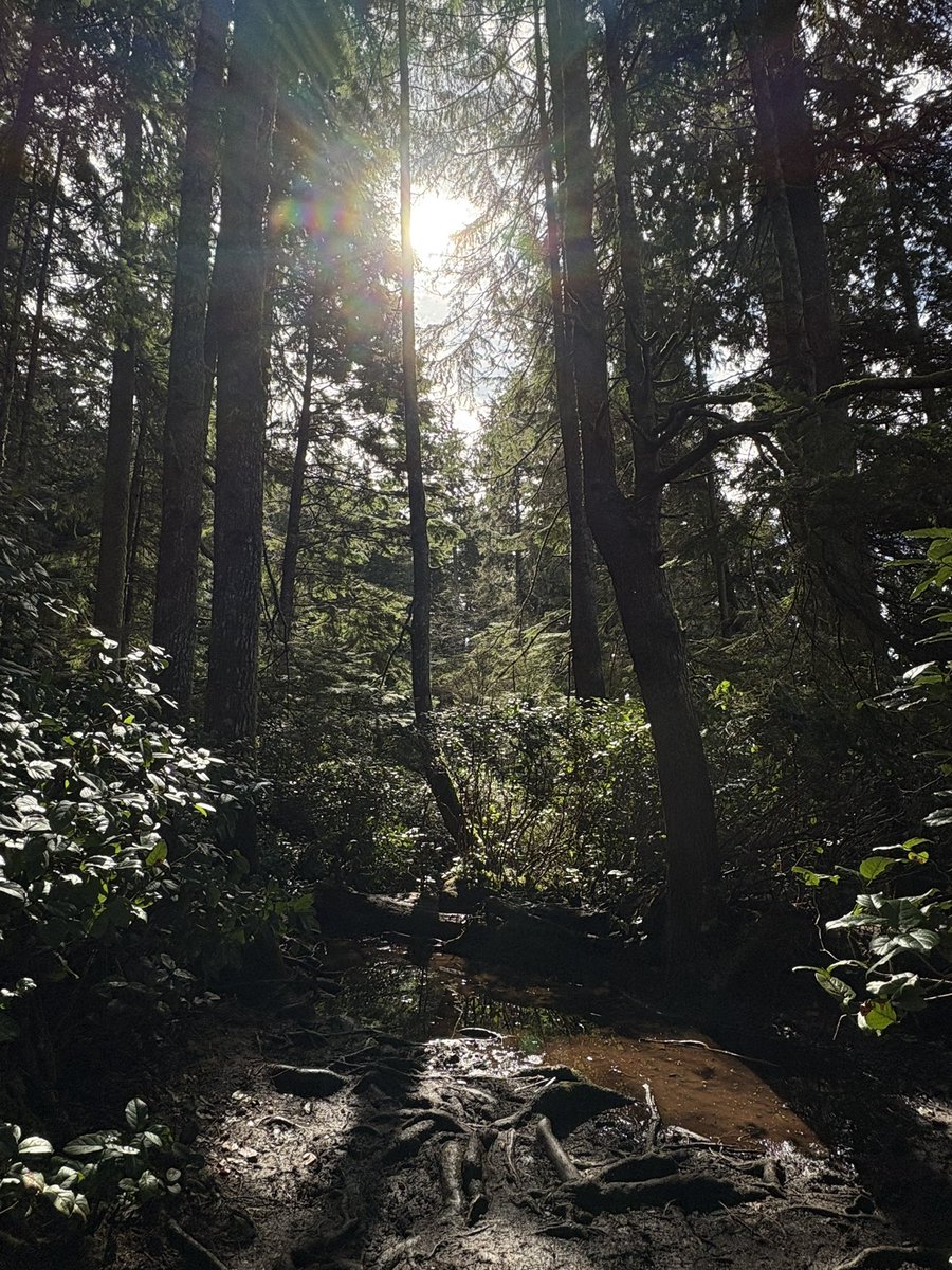 Peiji 💕 tweet media