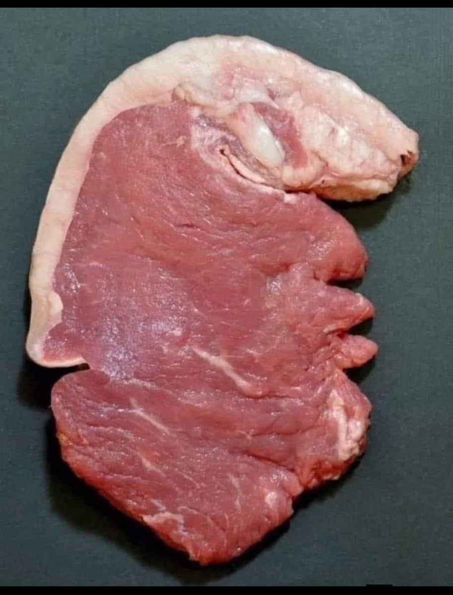 cyruss nikroz tweet media