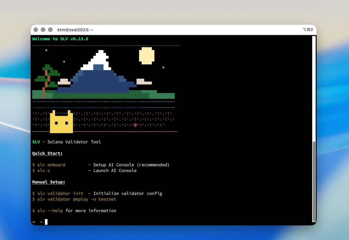 SLV: The AI Agent Kit for Solana Devs tweet media