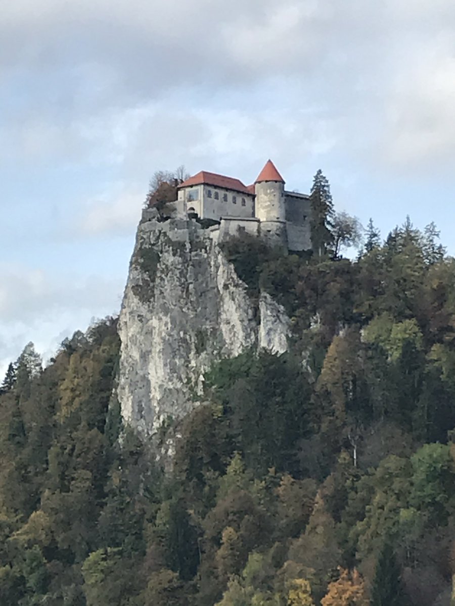 Jose Francisco Serpa ∴ tweet media