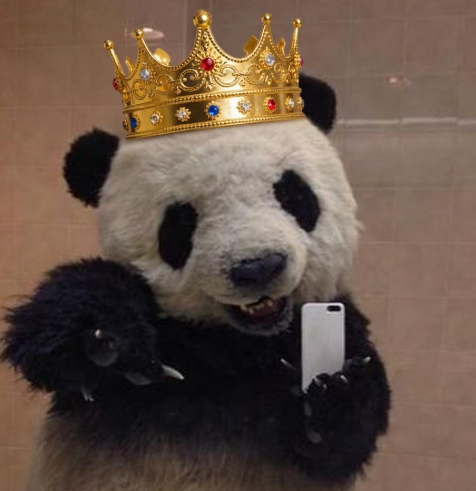 Pandita_Bolillo😈 tweet media