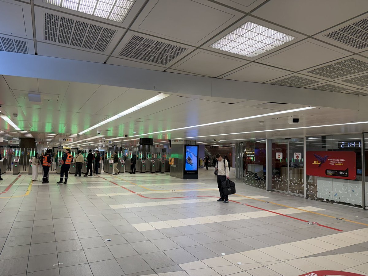 TMIT • 🌞 tweet media