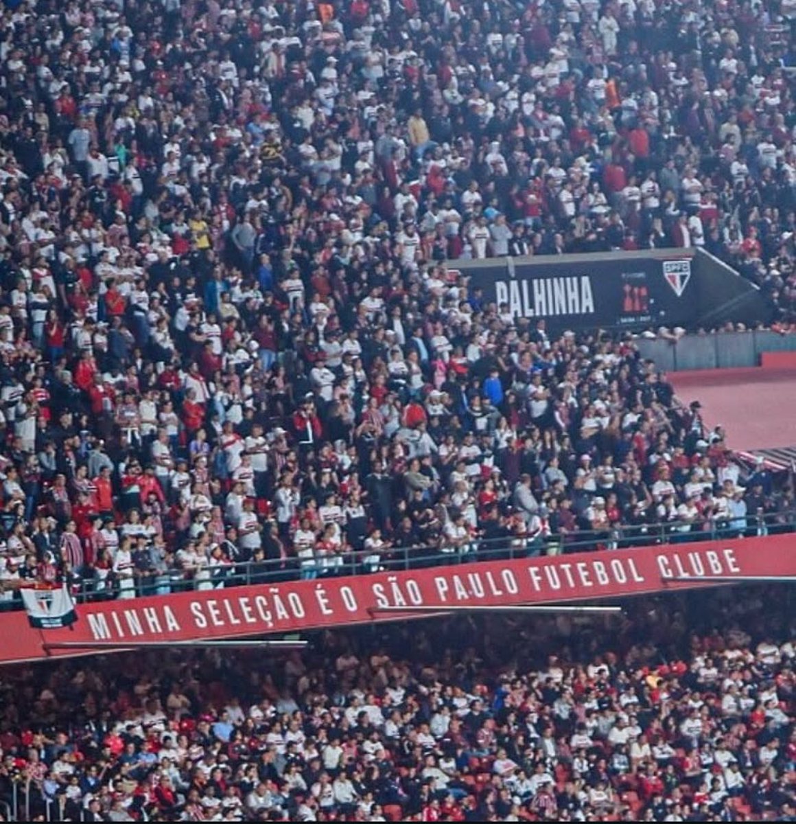 Marcelo Perniciotti 🇾🇪 tweet media