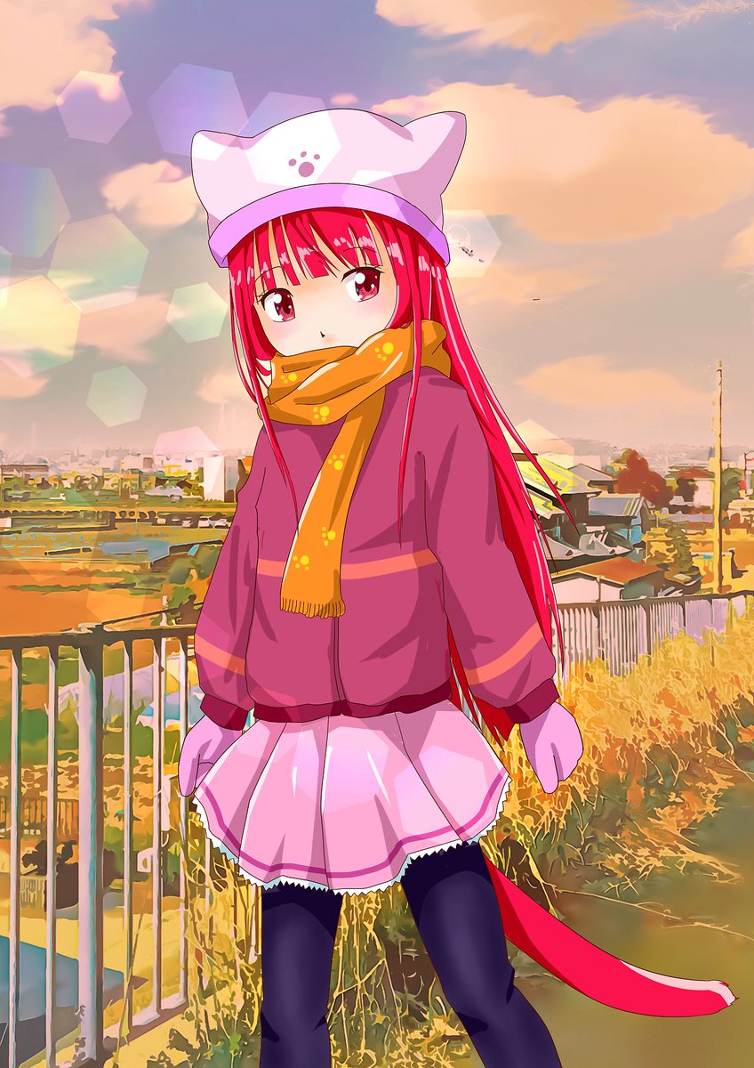 西表山猫 tweet media