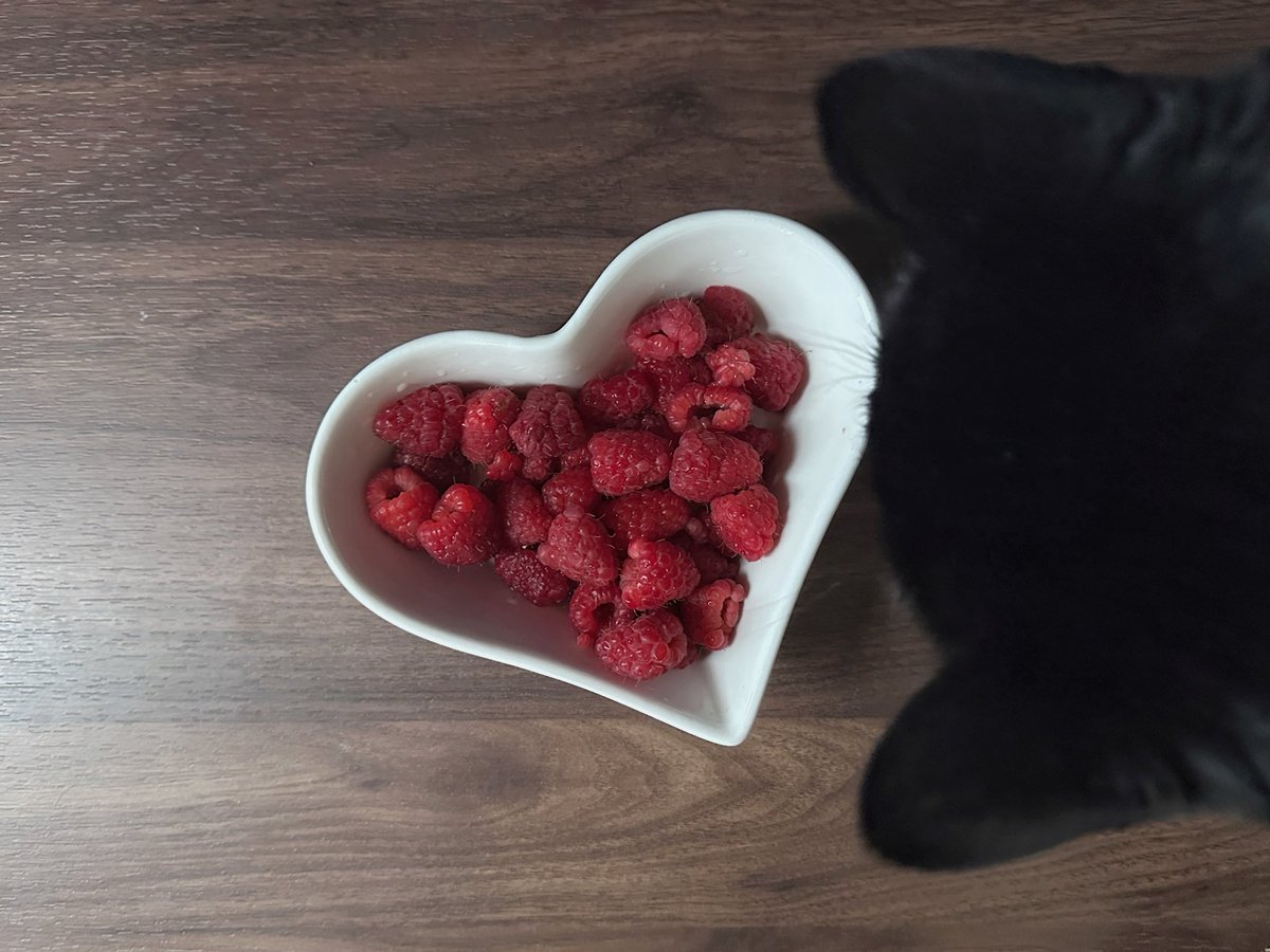 / luhvxal /୨୧ tweet media