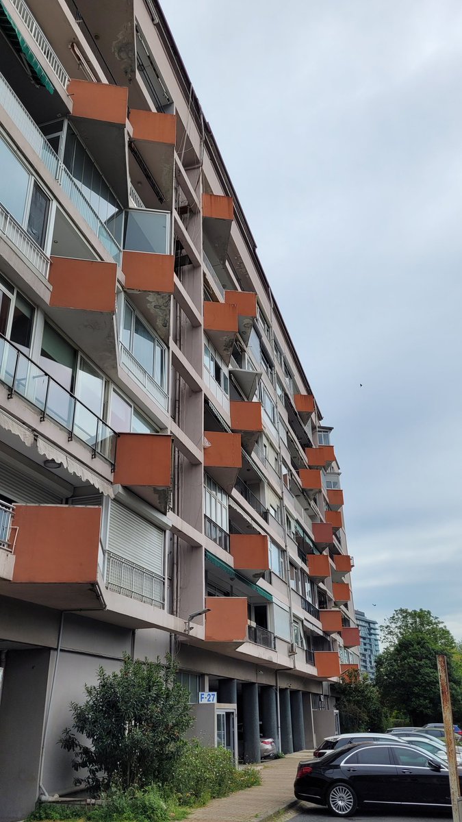 Zinde Kültür tweet media