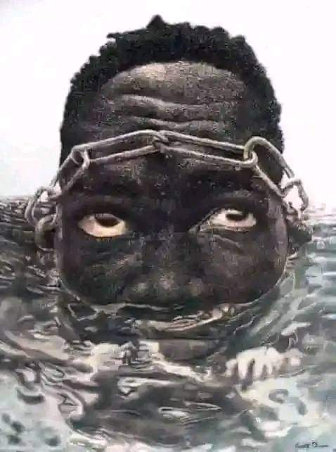 Zoom Afrika tweet media