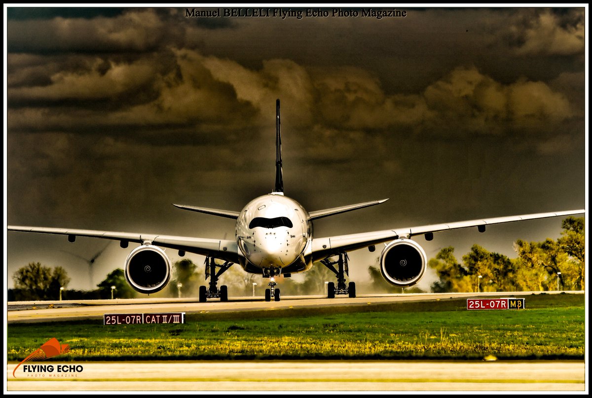 M BELLELI tweet media