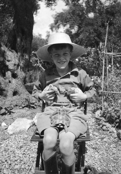 Durrell Society tweet media