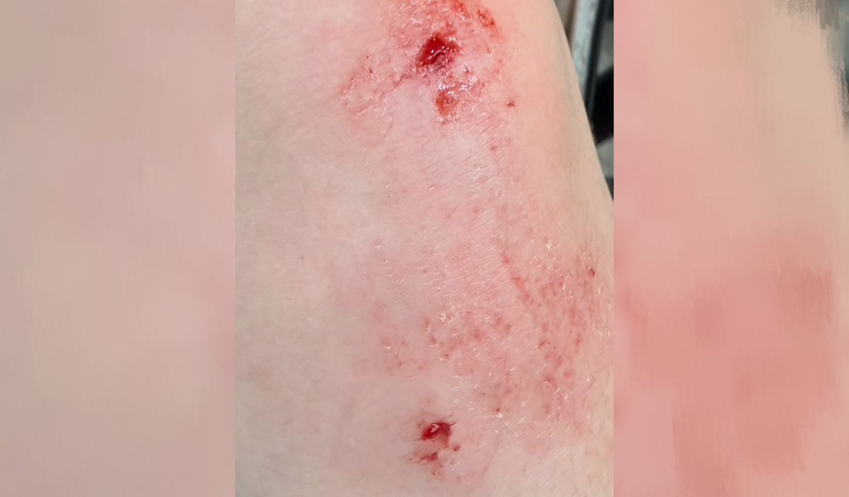 歪瓜裂棗 tweet media