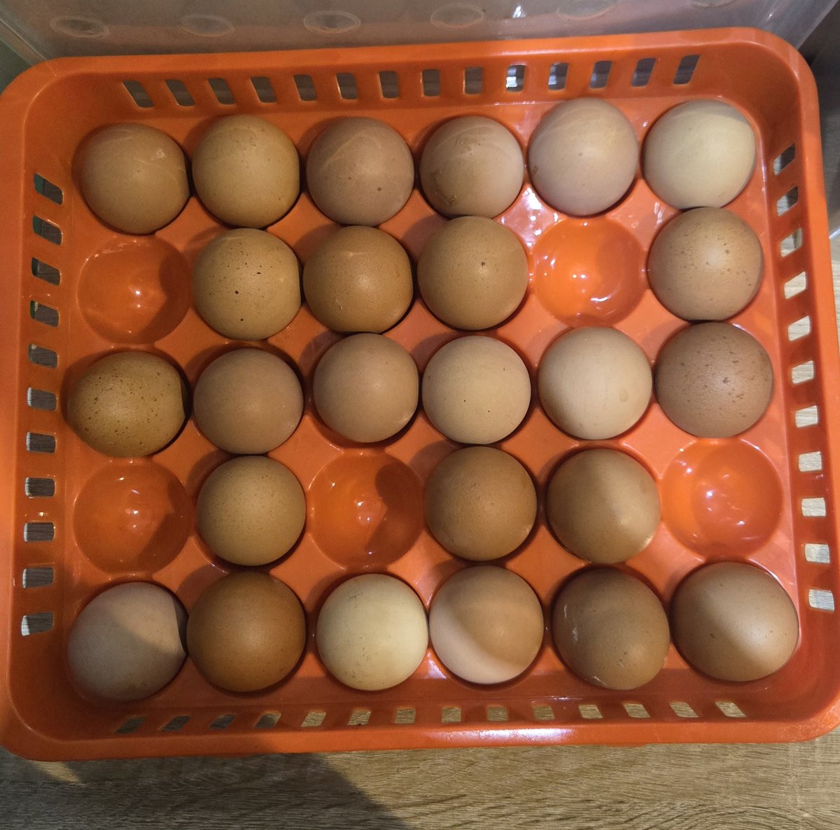 publikphigor tweet media