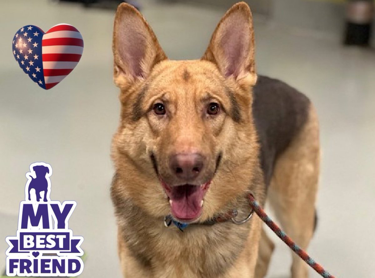 Not the Same tweet media