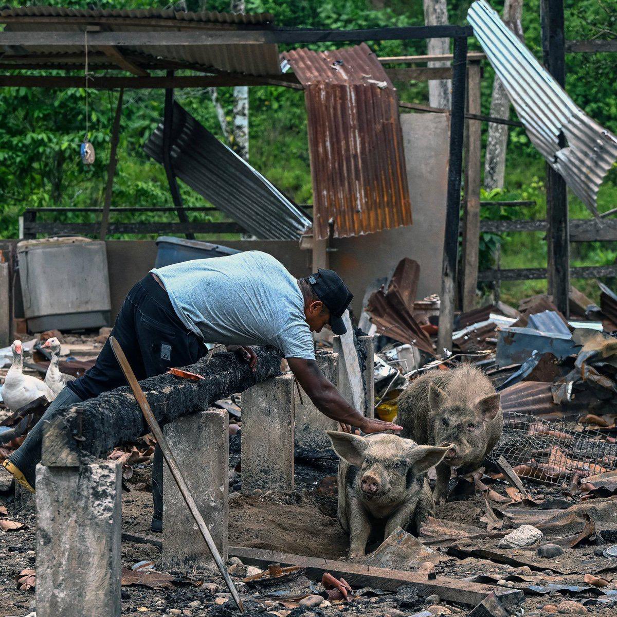 Poder Informativo tweet media