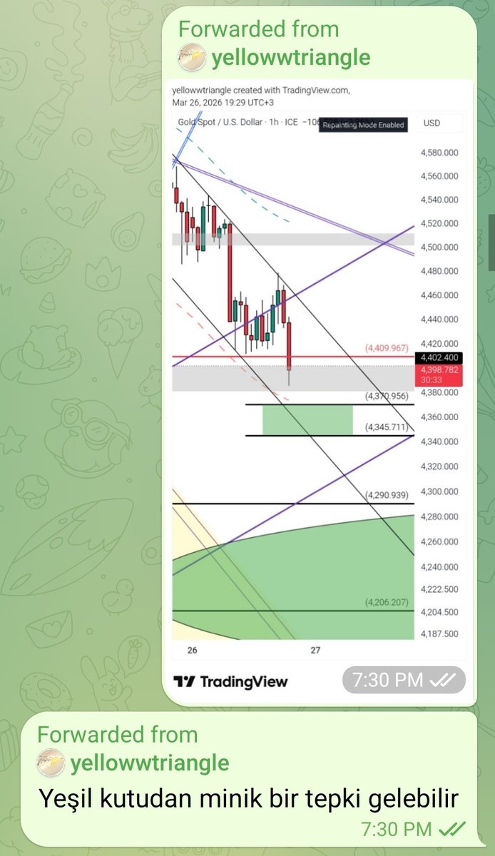 The Yellow Triangle tweet media