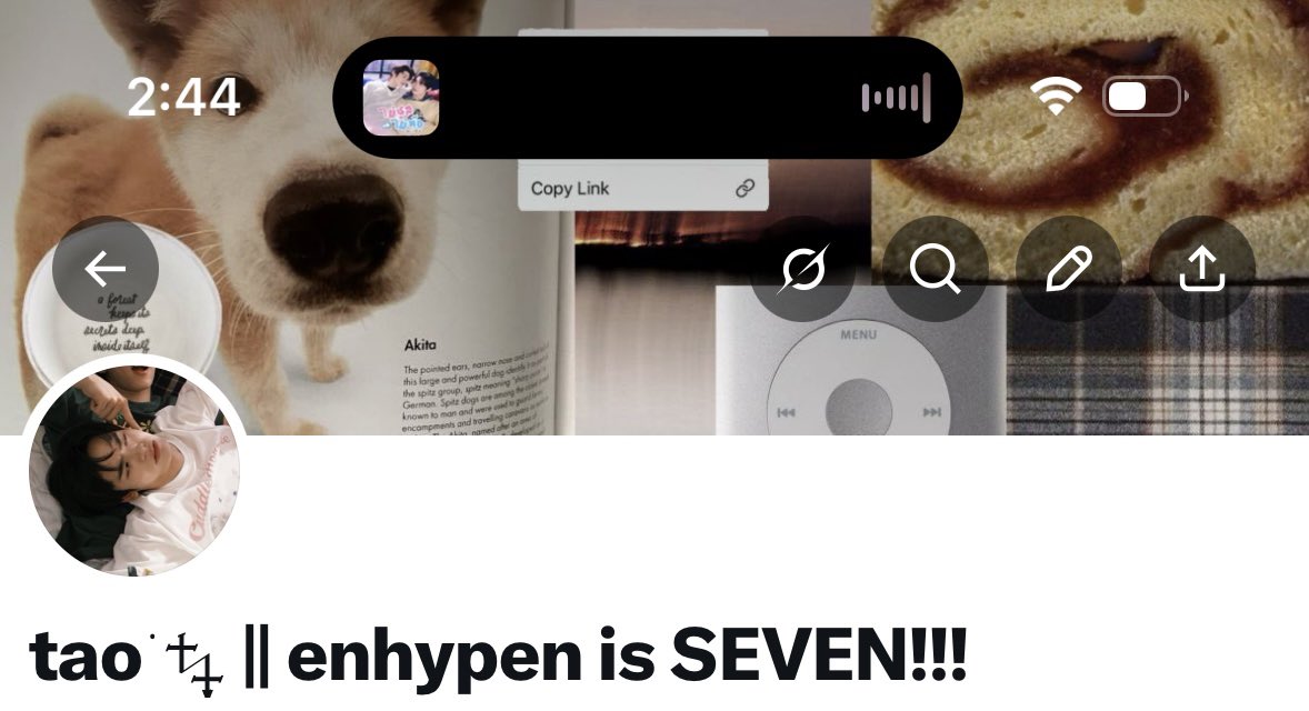 tao ݁ᛪ༙ || enhypen is SEVEN!!! tweet media