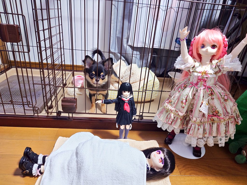 でら えーて tweet media