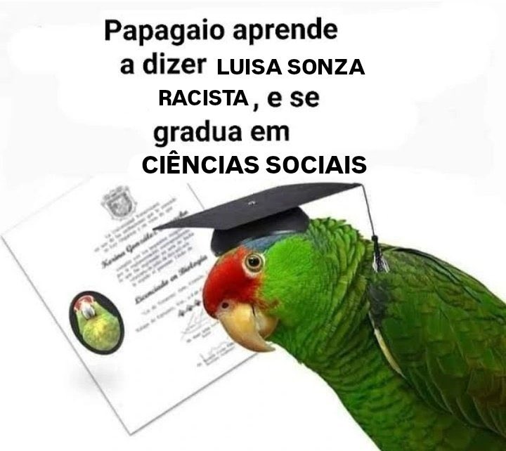 gaab ☎️ tweet media