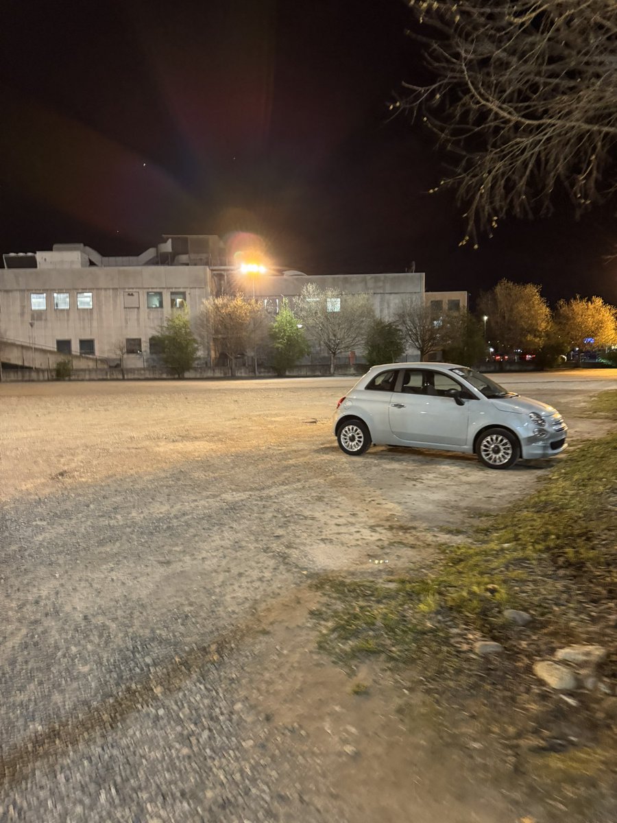 vivi !🌷 tweet media