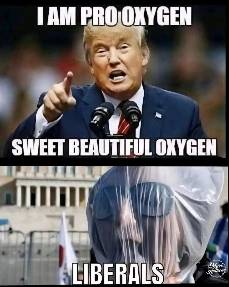 David Taylor 🇺🇸 FJB 🇺🇸 tweet media