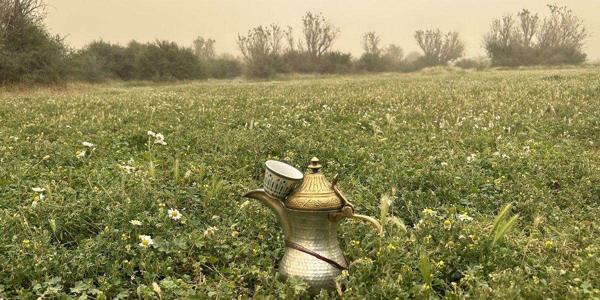 رخِيمَة tweet media