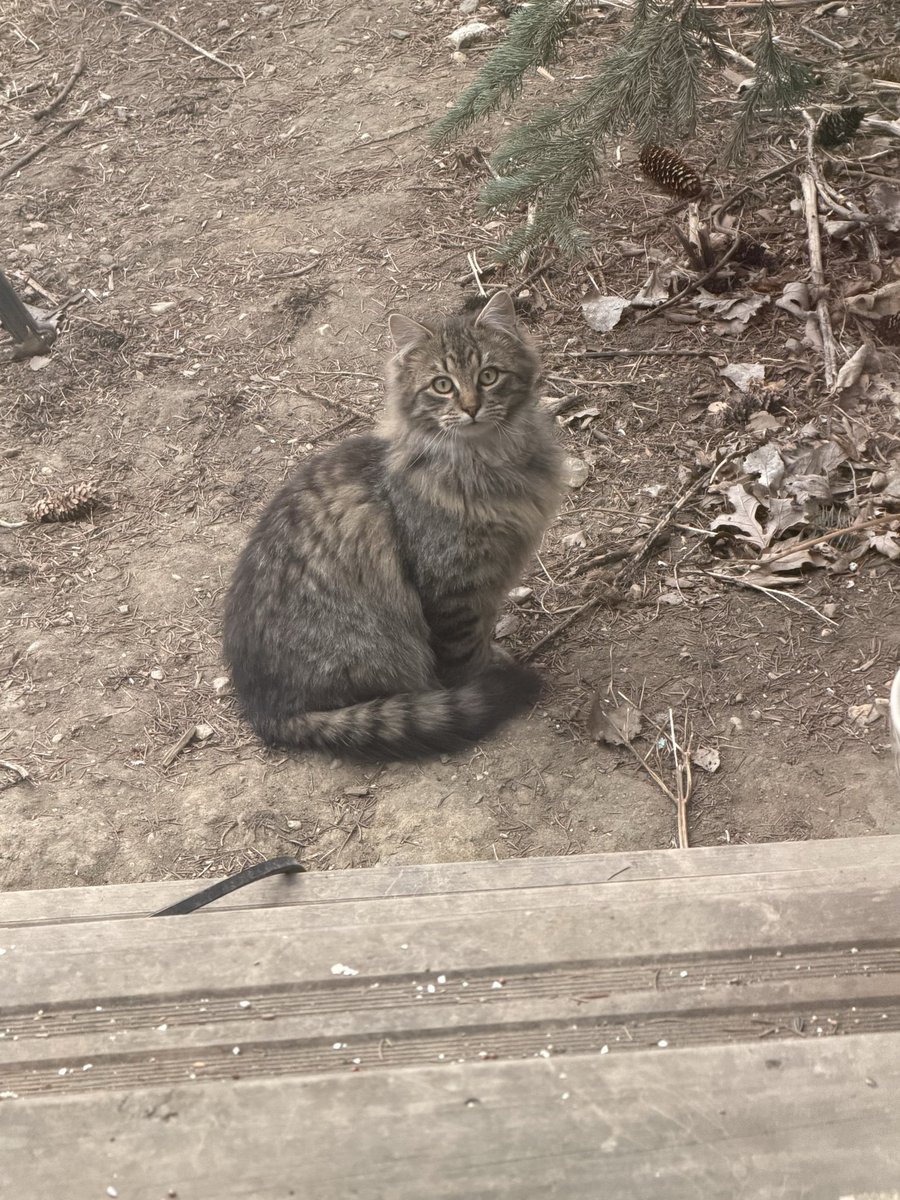 JargonIsDivision tweet media