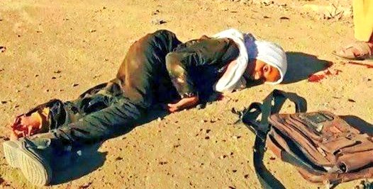 محمد الفرح tweet media