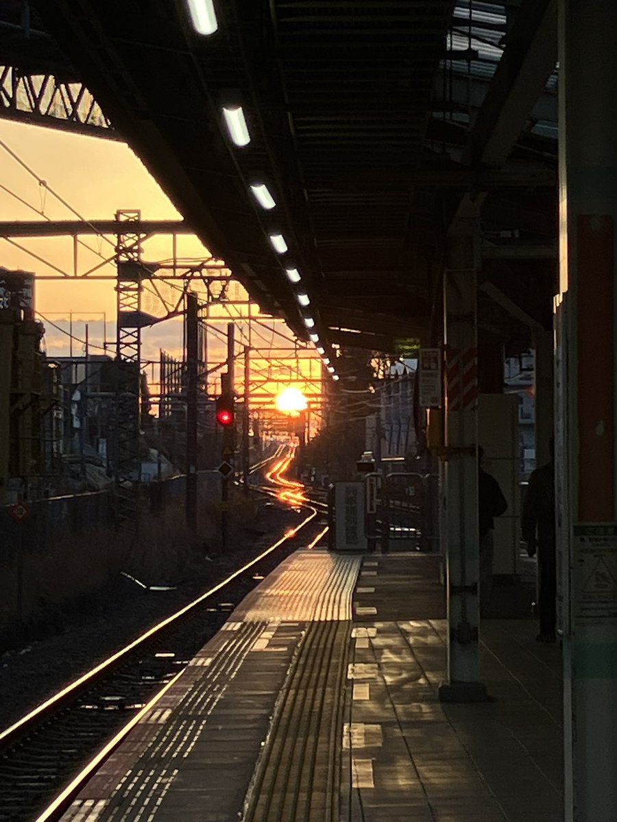 宮坂 洋生 tweet media