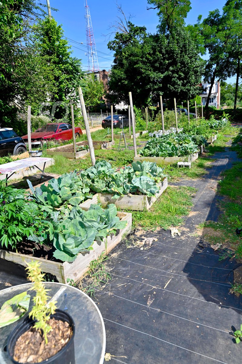 Morgan State University tweet media