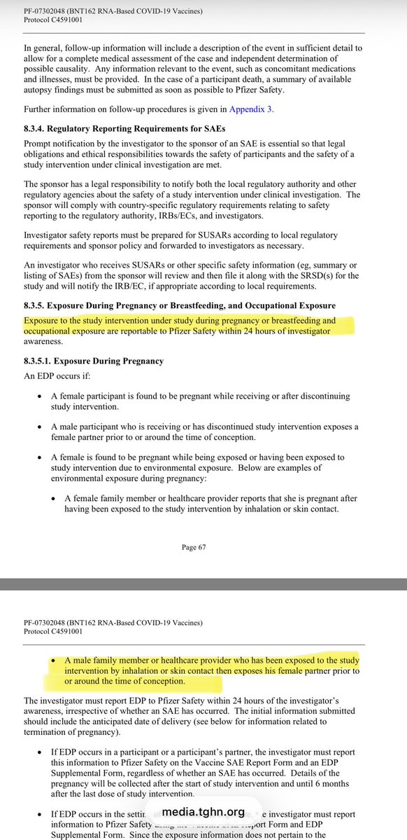 Melchizedek 🐭 tweet media