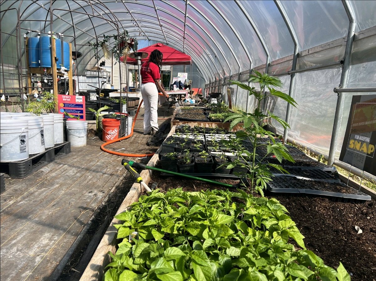 Morgan State University tweet media