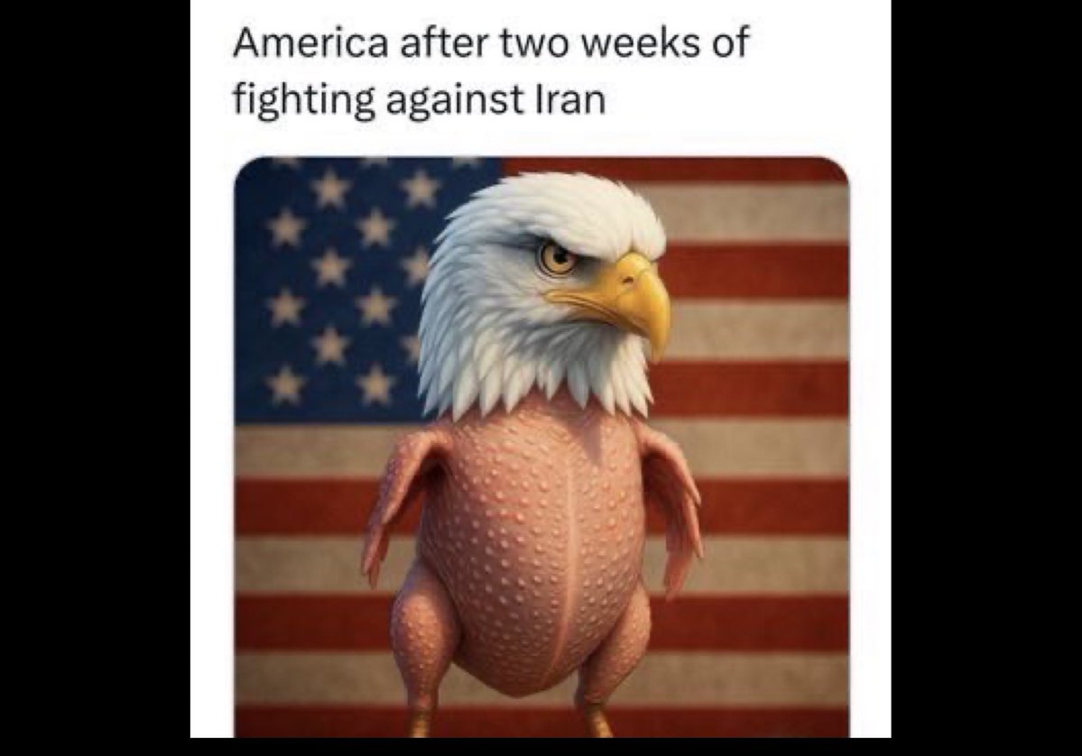 GeopoliticalDoc tweet media