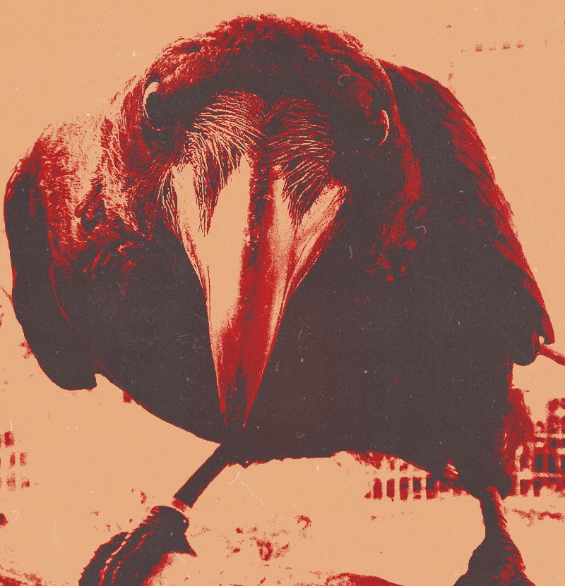 ‍ ✶ ‍ 𝓡𝐄𝐃 ‍𝐑𝑨͟𝑽͟𝑬͟𝑵 . tweet media