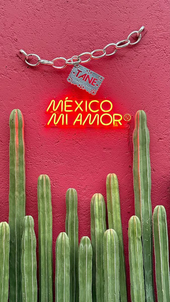 KovalaCDMX's tweet photo. ¿Cuál sería tu Red Flag ❤️ y Green Flag 💚 definitiva de la CDMX? 

#Kovalá #Cdmx #redflag #greenflag https://t.co/DXEgEfrznx