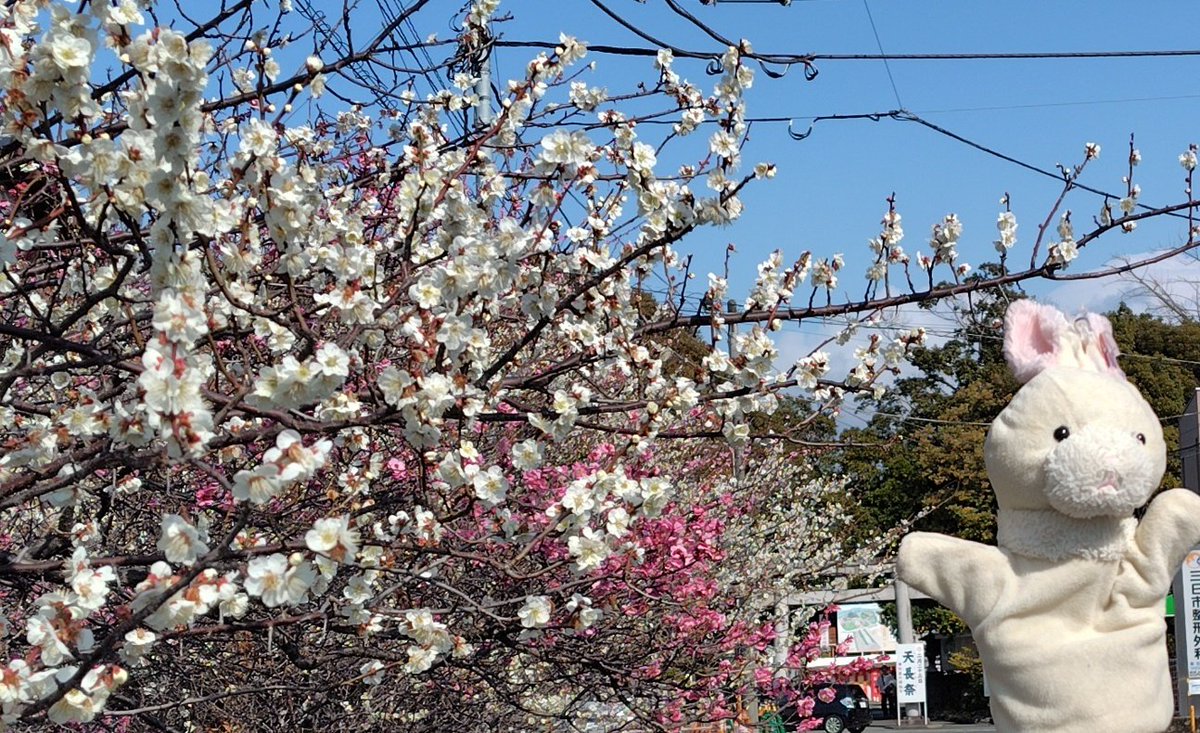 皆さんおはぴょ🗻🐤🐰🐴
#イマソラ #朝活 #空がある風景
令和8年 3月27日 金曜日💮

今朝は少し雲もありますが綺麗な朝空広がっていて喜ぶじょしゅくんとじょしゅあくんたち達です🌄🐤🐰😊🙏#感謝 #ありがとう

世界平和祈願🕊️健康祈願

今日も良いことありますように☆ミ

皆さま良き１日を🍀🐥🐰🌈✨