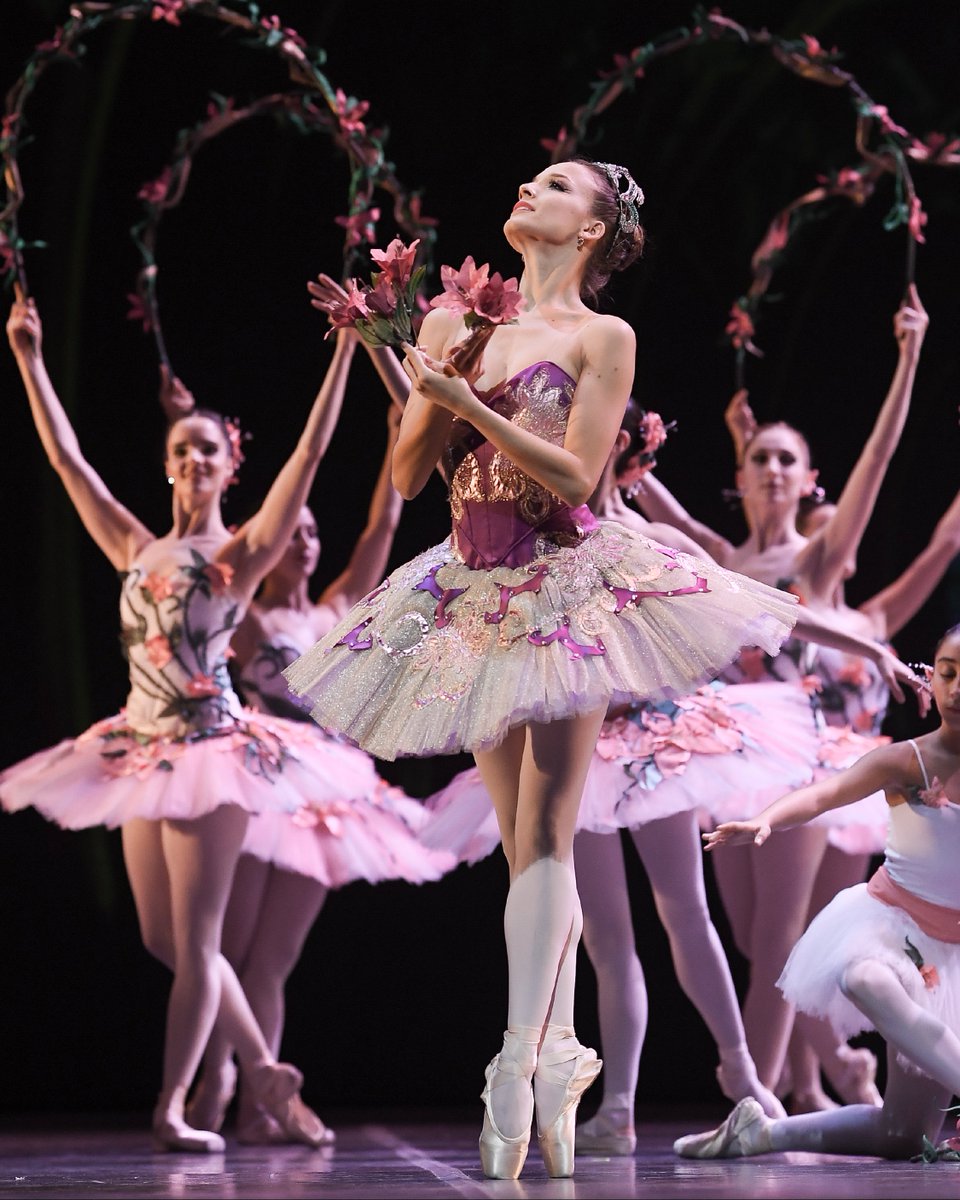 Ballet Nac. SODRE tweet media